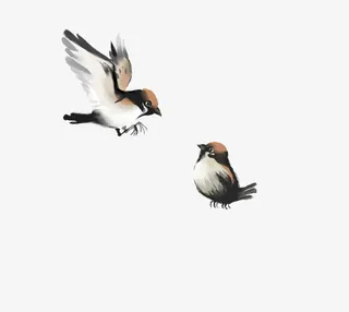 水墨中国风飞鸟免抠