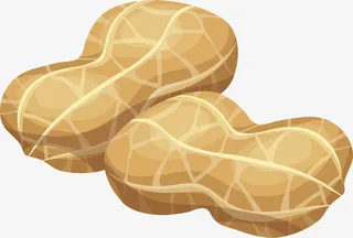 卡通花生矢量图下载免抠