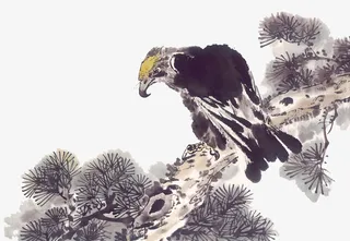 松树枝头的海雕国画免抠