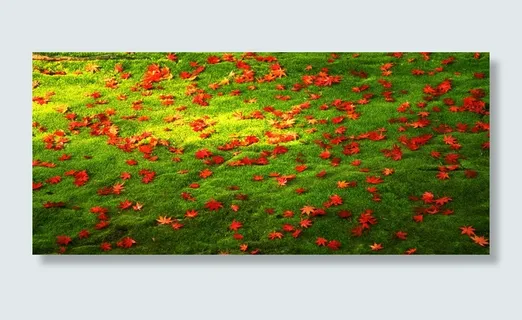 唯美背景高清 唯美背景高清