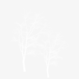 白色的装饰树免抠