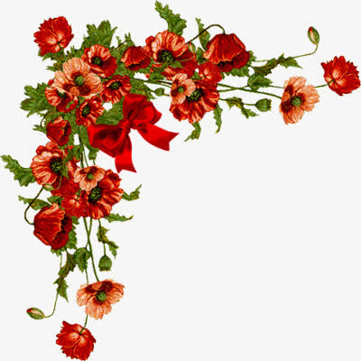 红色鲜花花边免抠png边框免抠