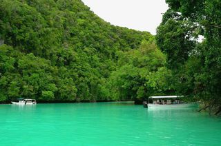 帕劳旅游牛奶湖免抠