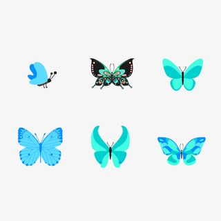 矢量图美丽的蝴蝶免抠