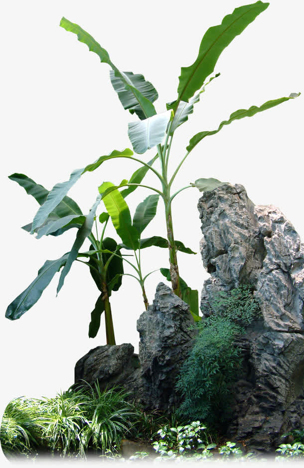 假山免抠