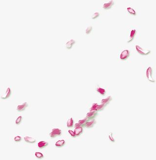 漂浮粉花瓣免抠