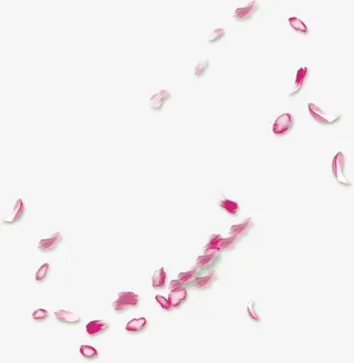 漂浮粉花瓣免抠