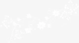 花朵藤蔓白色七夕情人节免抠