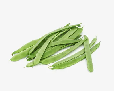 四季豆免抠 四季豆免抠