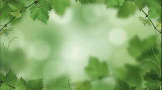 绿色春天到来免抠