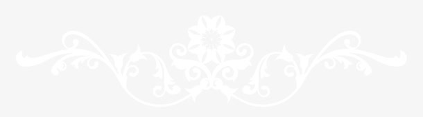 花纹素材木质纹理 卡通手绘花纹免抠