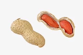 剥开的花生免抠