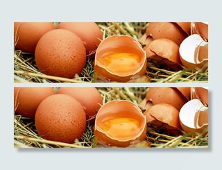 鸡蛋生鲜系列背景高清