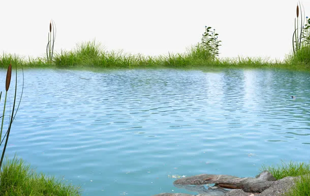 绿色漂亮湖泊免抠