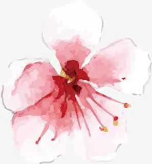 手绘花PNG下载免抠