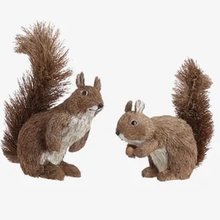 松鼠免抠