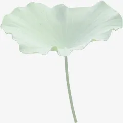 创意合成绿色的荷叶免抠