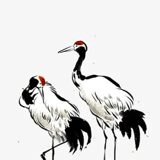 丹顶鹤手绘插画免抠