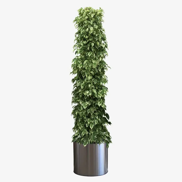 室内植物盆栽免抠