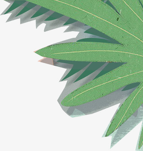 绿色植物边框装饰免抠