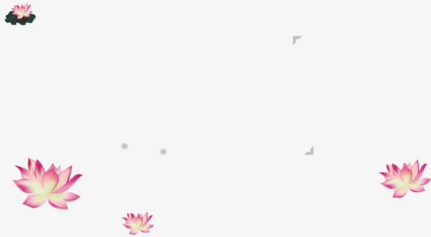 荷花流程图免抠