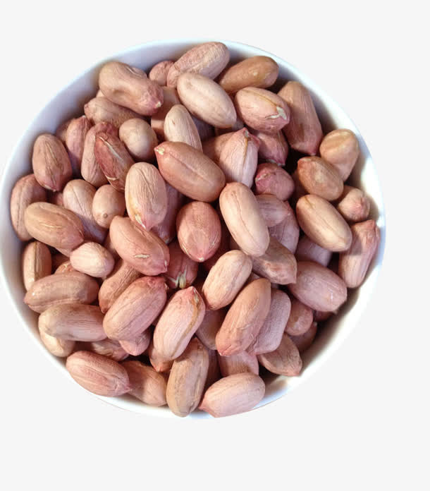 花生豆图片素材免抠