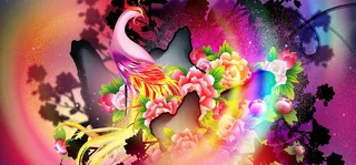 牡丹凤凰背景图高清