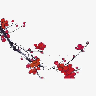 树枝    花    红色的花免抠