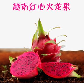 越南红心火龙果免抠