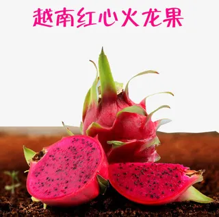 越南红心火龙果免抠