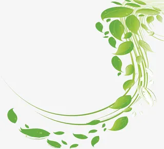 树叶 环保 绿色 春天免抠