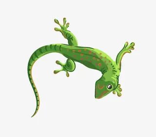 绿色蜥蜴免抠