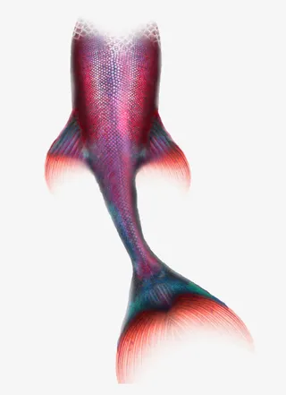 鱼尾鱼鳍鱼鳞免抠