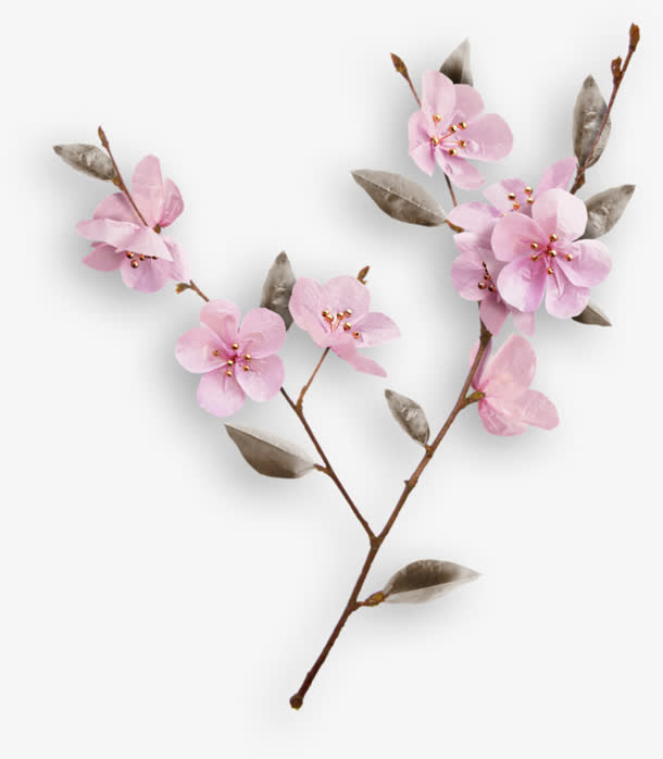 花瓣红色花瓣素材免抠