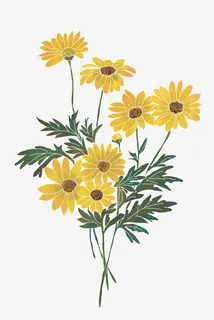 清新小花卡通插画10免抠 清新小花卡通插画10免抠