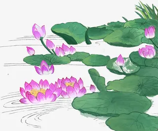 手绘荷花水波粉色花朵免抠