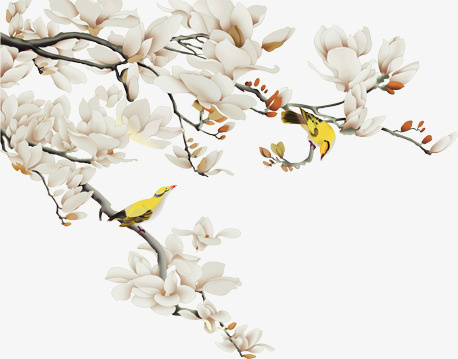 卡通手绘白色的梅花免抠