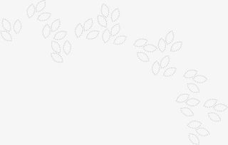 白色叶片海报背景七夕情人节