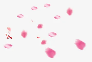 纷飞花瓣装饰素材免抠