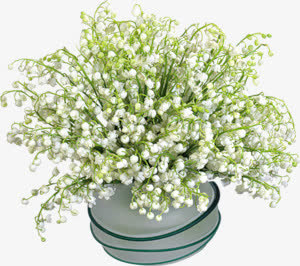白色花瓣花束壁纸免抠