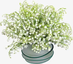 白色花瓣花束壁纸免抠
