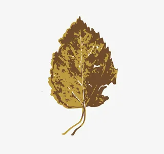 矢量枯叶免抠