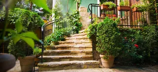 绿色清新背景高清