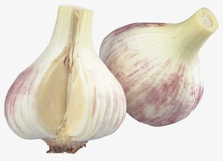 手绘蔬菜素材蔬菜图片 大蒜免抠