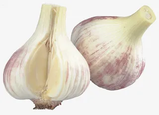 手绘蔬菜素材蔬菜图片 大蒜免抠