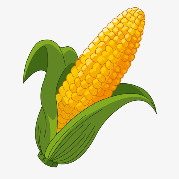 卡通玉米免抠