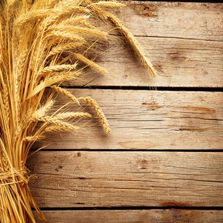 秋季麦穗木板背景图高清