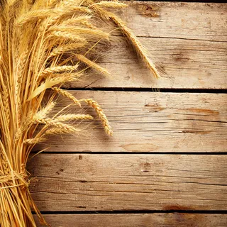 秋季麦穗木板背景图高清