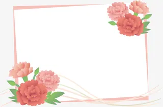 红色美丽康乃馨框架免抠