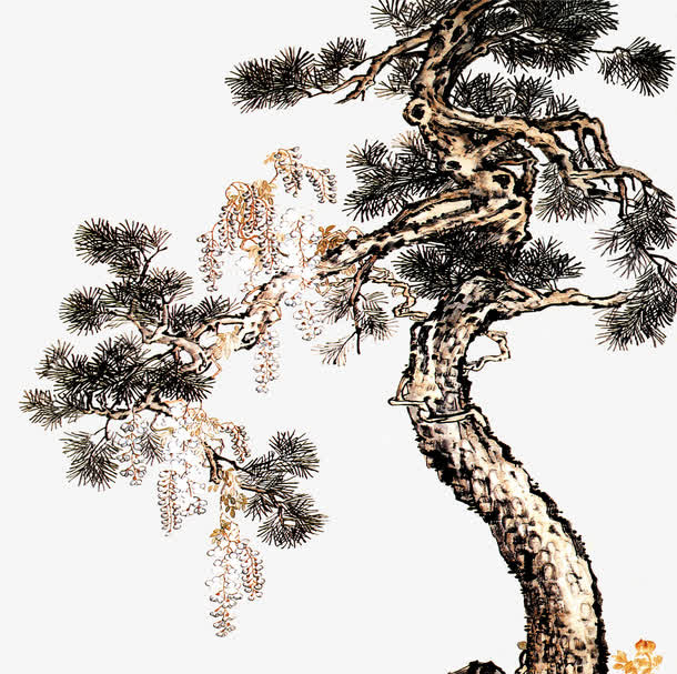 中国风迎客松免抠